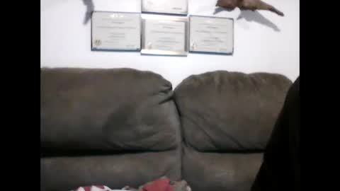 idkwhyidothis348732 online show from 12/19/24, 12:01