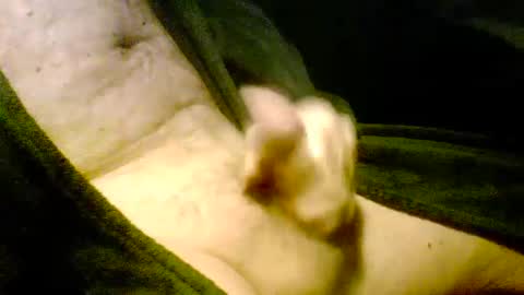 Iluvj2jizz4u online show from 01/07/25, 11:26