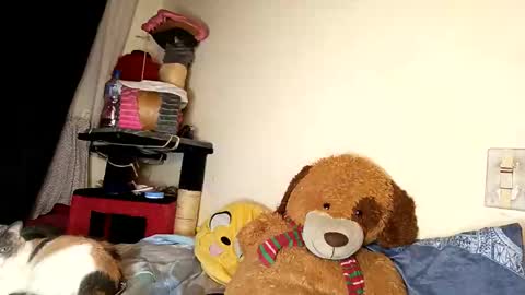 im_dereck_martinez_69 online show from 10/11/25, 06:01