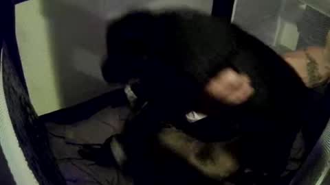 Snapshot of imtru chatting on 02/14/25, 04:04 imtru online show from 02/14/25, 04:04