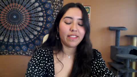 Africa online show from 01/27/25, 03:39