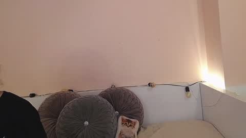    online show from 12/21/24, 12:42