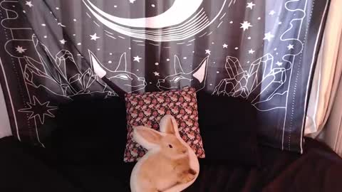    online show from 01/03/25, 07:29