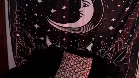    online show from 01/07/25, 01:17