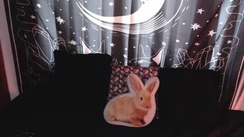    online show from 01/08/25, 07:03