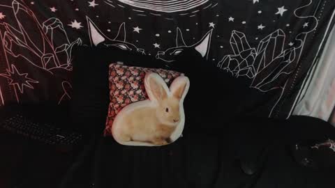    online show from 01/12/25, 03:39