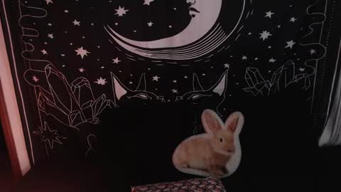    online show from 01/23/25, 12:14