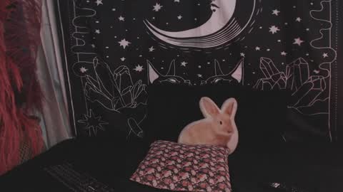    online show from 01/29/25, 11:14