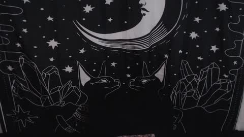    online show from 01/31/25, 11:24