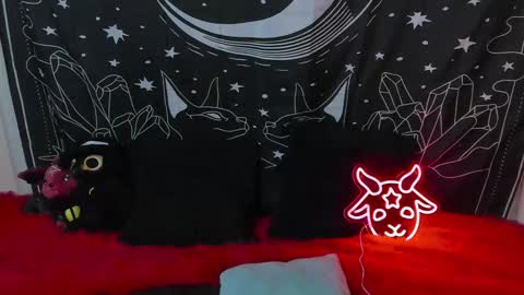    online show from 02/12/25, 12:37