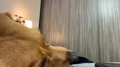 Isa online show from 10/07/25, 01:47