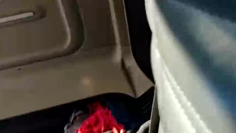 iswallow25 online show from 11/25/25, 10:10