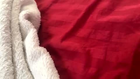 itsjayyourbae online show from 11/22/25, 02:05