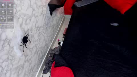 Ivis  online show from 10/25/25, 01:18