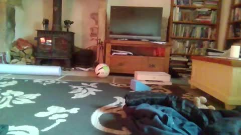 Snapshot of j4ckcock chatting on 11/16/25, 09:48 J4ckcock online show from 11/16/25, 09:48