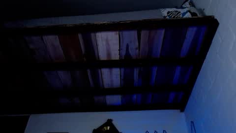 Michael Caicedo online show from 03/12/25, 04:51