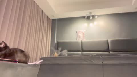 Snapshot of jacolandia chatting on 02/23/25, 06:56 jacolandia online show from 02/23/25, 06:56