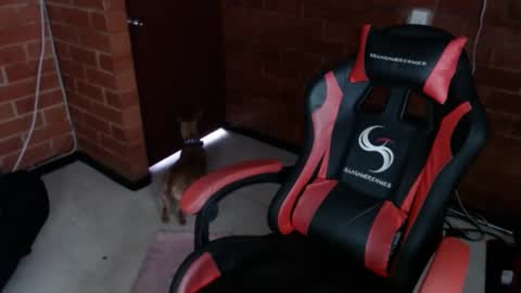 jadesexfun online show from 03/12/25, 02:45