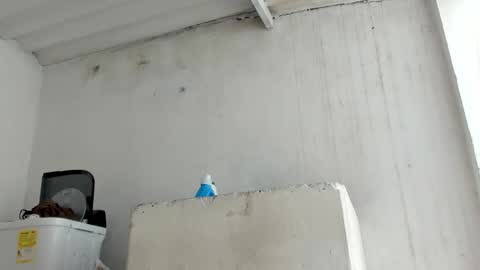 Jade Smith online show from 10/24/25, 05:53