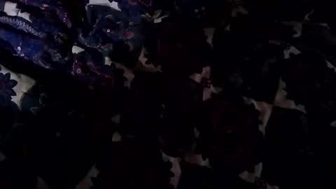 Jason online show from 02/02/25, 04:11