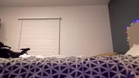 jaidenblake online show from 12/02/24, 09:45