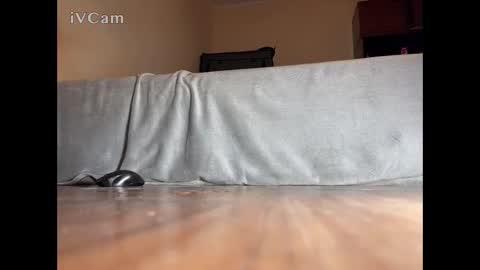 Snapshot of jarrettsss chatting on 11/14/25, 07:56 jarrettsss online show from 11/14/25, 07:56