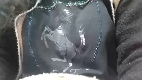 jasspreettt online show from 02/02/25, 06:58