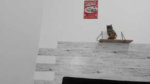 Jaycreedd online show from 11/11/25, 04:56