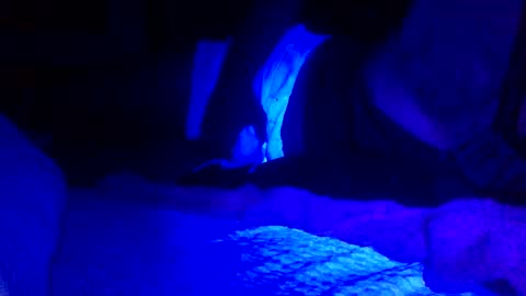 Jaysobricked online show from 02/07/25, 06:35