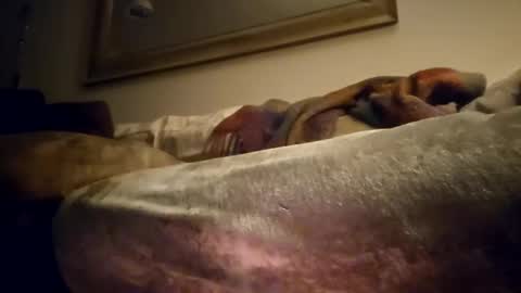 Jcramirez1975s online show from 12/21/24, 03:03