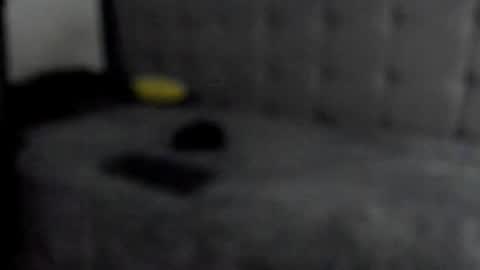 jeicob gagnon online show from 12/16/24, 11:07