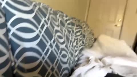 Snapshot of jerkstar16 chatting on 12/05/24, 06:00 Jerkstar16 online show from 12/05/24, 06:00