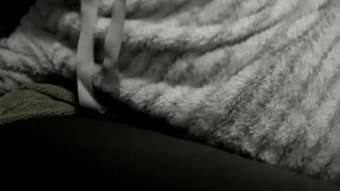 jimmiguel12345678 online show from 12/25/24, 02:14