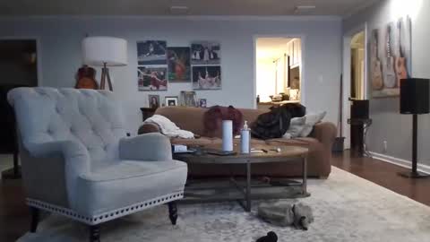 jkelly92081bean online show from 11/21/25, 06:45