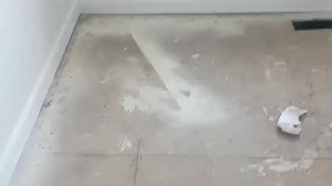 joshuatreestroker online show from 02/19/25, 06:00