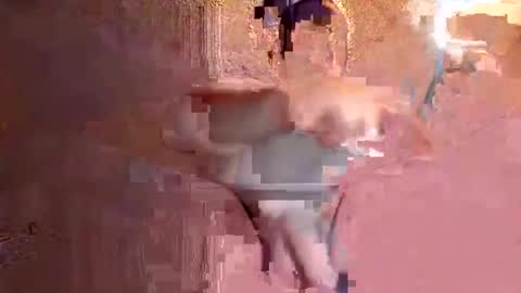 juan575390 online show from 12/17/24, 01:07