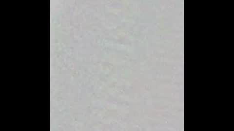 Born Sinner online show from 02/23/25, 03:29