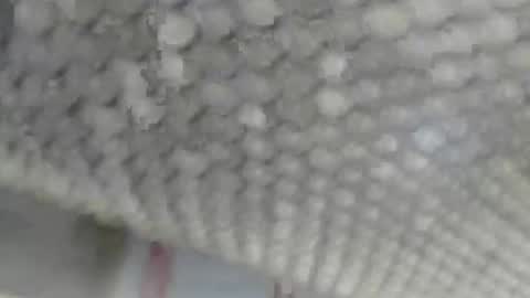 Giovanni50pro online show from 09/17/25, 12:40