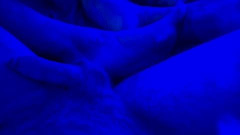 Snapshot of just4funfunfun87 chatting on 01/14/25, 07:59 Yuri online show from 01/14/25, 07:59