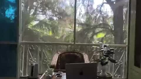 just_place online show from 12/02/25, 06:19