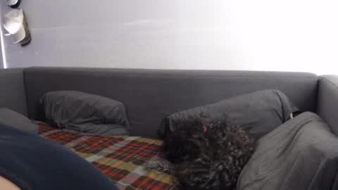 Snapshot of justasucker4u chatting on 11/20/25, 01:44 justasucker4u online show from 11/20/25, 01:44