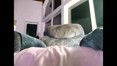 Snapshot of justforyou777770 chatting on 01/08/25, 01:53 Gil indpendant model exhibitionnist online show from 01/08/25, 01:53