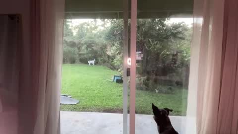 Kailee Smile online show from 01/08/25, 03:51