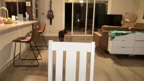 Kailee Smile online show from 09/27/25, 04:39