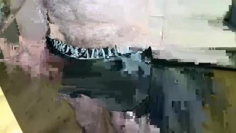 MusicMen49 online show from 12/22/24, 08:27