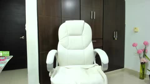 Snapshot of kariitto___ds chatting on 01/20/25, 02:53 kariitto___ds online show from 01/20/25, 02:53