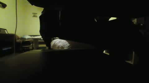 Stojko online show from 10/18/25, 08:09