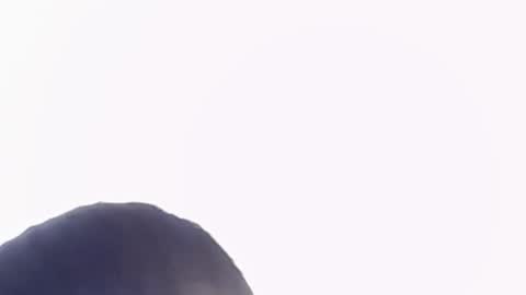 Help me with rate thanks  online show from 11/22/25, 06:29