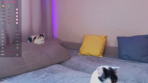 Katerina online show from 01/30/25, 05:52