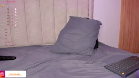 Snapshot of kateryn_bale chatting on 01/28/25, 11:28 kateryn_bale online show from 01/28/25, 11:28